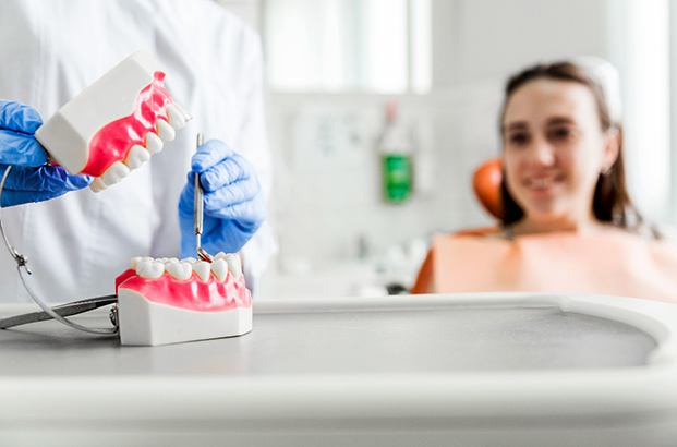 A dentist demonstrating a prosthetic model to a patient